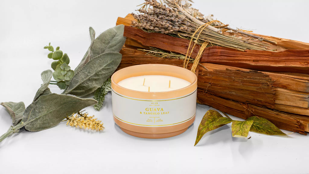 Guava & Tangelo Leaf | Luxury Soy Wax Blend Candleq